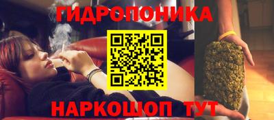 сатива Комсомольск-на-Амуре