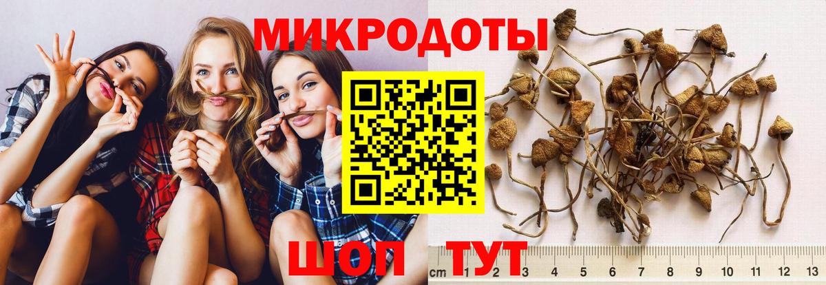 Галлюциногенные грибы мухоморы  Вход с VPN  Электросталь  Галлюциногенные грибы Psilocybe 